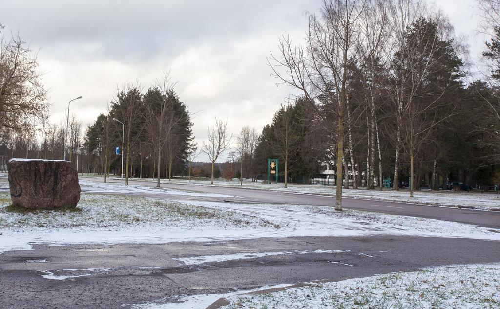 Lidija apartaments Druskininkai Buitenkant foto